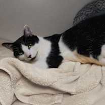 Thumbnail photo of Lucky #1