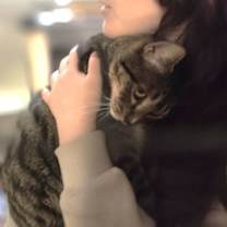 Thumbnail photo of Ben Solo (Ben) #3