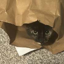 Thumbnail photo of Tahlia #3