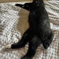 Thumbnail photo of Bobbi Jo #3