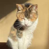 Thumbnail photo of Claire #2