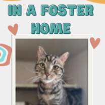 Thumbnail photo of Oscar #1