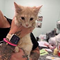 Thumbnail photo of Christianna #3