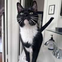 Thumbnail photo of Taki #2