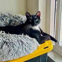 Thumbnail photo of Taki #4