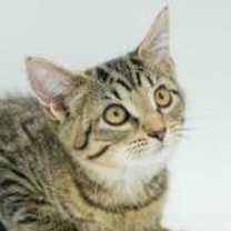 Thumbnail photo of Bessie #4