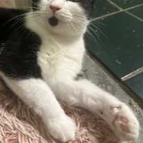 Thumbnail photo of Florence #2