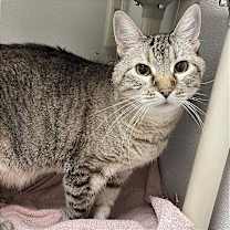 Thumbnail photo of Prince  #3