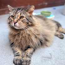 Thumbnail photo of Harry #1