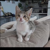 Thumbnail photo of Sydney #1