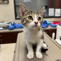 Thumbnail photo of Sydney #2