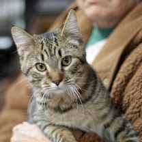 Thumbnail photo of Hogan #1