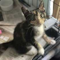 Thumbnail photo of Jolene #1