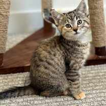 Thumbnail photo of Ruth #3