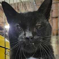 Thumbnail photo of Kam #2