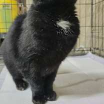 Thumbnail photo of Kam #3