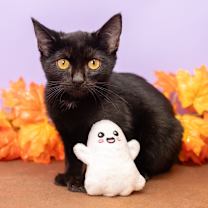 Thumbnail photo of Venice #3