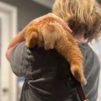 Thumbnail photo of Lucca #3