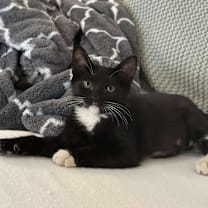 Thumbnail photo of Leia #3