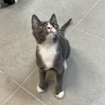 Thumbnail photo of Montgomery #4