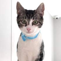 Thumbnail photo of Jeremy #4