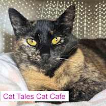 Thumbnail photo of Mama Bear #1