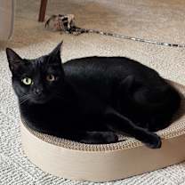 Thumbnail photo of Hathar #1