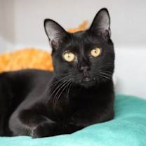 Thumbnail photo of Maurie #1