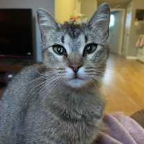 Thumbnail photo of Squirel #2