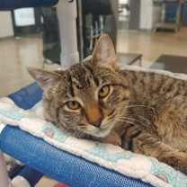 Thumbnail photo of Autumn #2