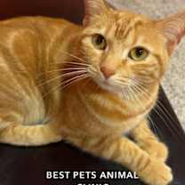 Thumbnail photo of Lumi #3