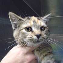 Thumbnail photo of Mary #4