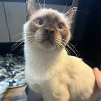 Thumbnail photo of Steel #2