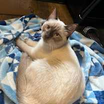 Thumbnail photo of Steel #3