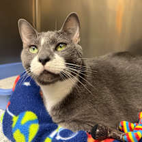 Thumbnail photo of Kiko #3