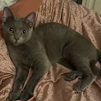 Thumbnail photo of Missy #1