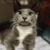 Thumbnail photo of Natasha #2