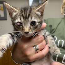 Thumbnail photo of Isla #3