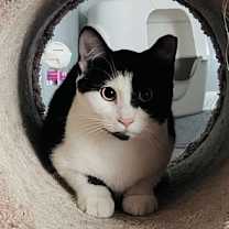 Thumbnail photo of Destiny #2