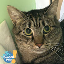 Thumbnail photo of Polly #1