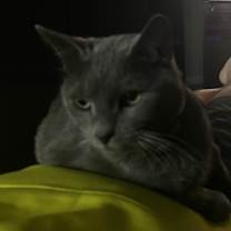 Thumbnail photo of Howie #1