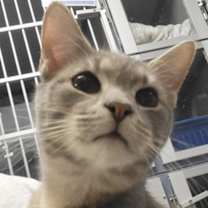 Thumbnail photo of Wednesday #1