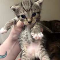 Thumbnail photo of Wednesday #2