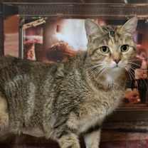 Thumbnail photo of Mama Jazz #1