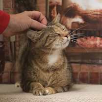 Thumbnail photo of Mama Jazz #2