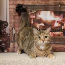 Thumbnail photo of Mama Jazz #3