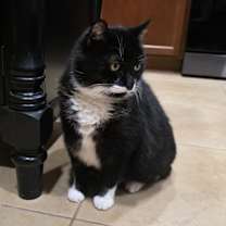 Thumbnail photo of Filou #1