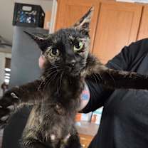 Thumbnail photo of Esperanza AR #2