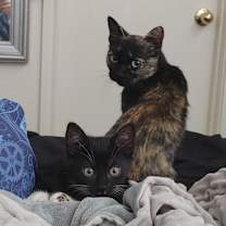 Thumbnail photo of Esperanza AR #3