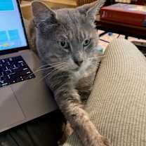 Thumbnail photo of Willy James #3